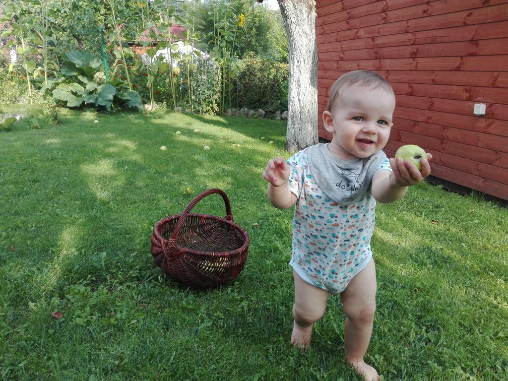 Agro-Tur Domki W Szuwarach Kuty Bagian luar foto