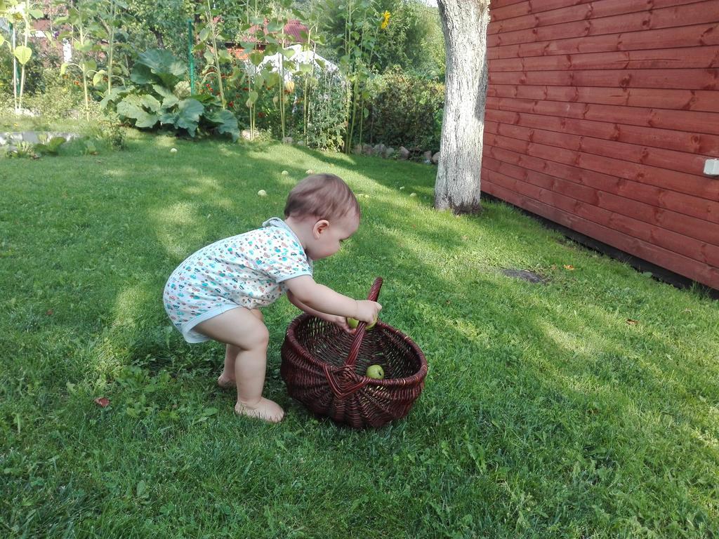 Agro-Tur Domki W Szuwarach Kuty Bagian luar foto